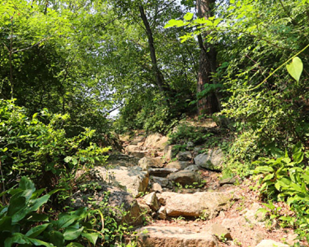 산책로